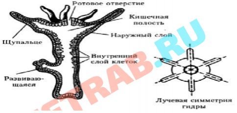 Как зайти на кракен kraken014 com